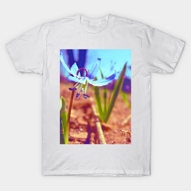 Tiny Blue Wild Flower T-Shirt by saradaboru